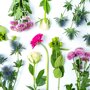 Brievenbus boeket paars liggend